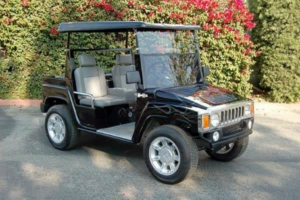 affordable golf cart rental, golf cart rent bellevue