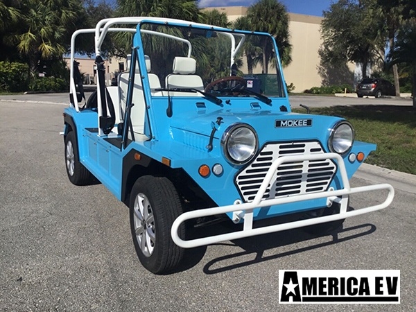 affordable golf cart rental, golf cart rent bellevue
