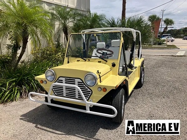 affordable golf cart rental, golf cart rent bellevue